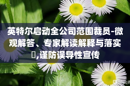 英特爾啟動全公司范圍裁員-微觀解答、專家解讀解釋與落實?,謹防誤導性宣傳