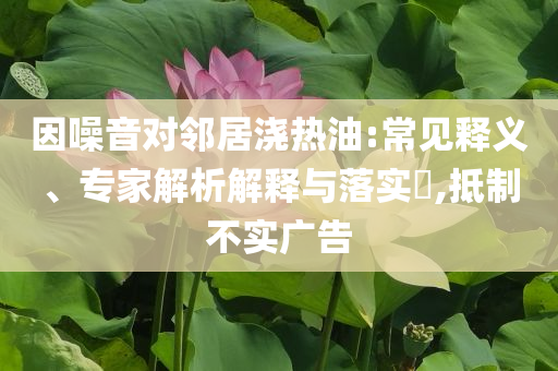 因噪音對鄰居澆熱油:常見釋義、專家解析解釋與落實?,抵制不實廣告