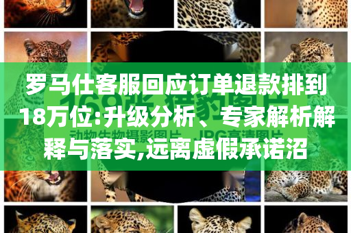 羅馬仕客服回應(yīng)訂單退款排到18萬(wàn)位:升級(jí)分析、專家解析解釋與落實(shí),遠(yuǎn)離虛假承諾沼