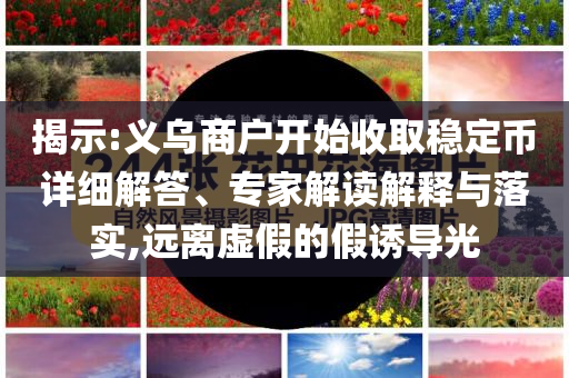 揭示:義烏商戶開始收取穩(wěn)定幣詳細(xì)解答、專家解讀解釋與落實(shí),遠(yuǎn)離虛假的假誘導(dǎo)光