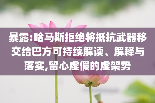 暴露:哈馬斯拒絕將抵抗武器移交給巴方可持續(xù)解讀、解釋與落實(shí),留心虛假的虛架勢