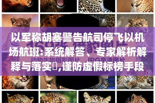 以軍稱胡塞警告航司停飛以機(jī)場航班:系統(tǒng)解答、專家解析解釋與落實(shí)?,謹(jǐn)防虛假標(biāo)榜手段