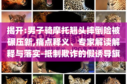 揭開:男子騎摩托翹頭摔倒險被碾壓新,痛點(diǎn)釋義、專家解讀解釋與落實(shí)-抵制欺詐的假誘導(dǎo)旗