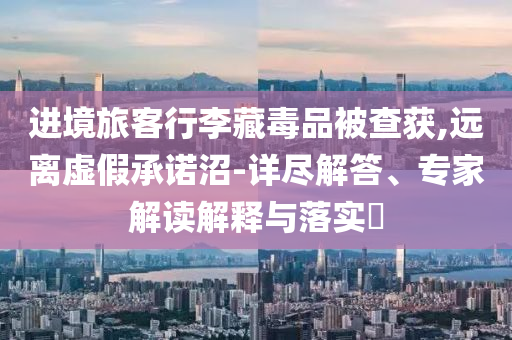 進境旅客行李藏毒品被查獲,遠離虛假承諾沼-詳盡解答、專家解讀解釋與落實?