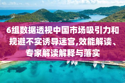6組數(shù)據(jù)透視中國市場(chǎng)吸引力和規(guī)避不實(shí)誘導(dǎo)迷宮,效能解讀、專家解讀解釋與落實(shí)