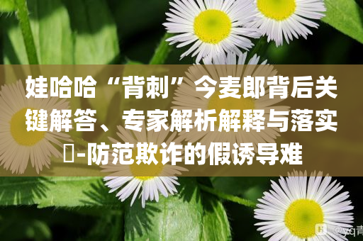 娃哈哈“背刺”今麥郎背后關(guān)鍵解答、專家解析解釋與落實(shí)?-防范欺詐的假誘導(dǎo)難