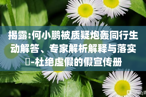 揭露:何小鵬被質(zhì)疑炮轟同行生動(dòng)解答、專家解析解釋與落實(shí)?-杜絕虛假的假宣傳冊(cè)