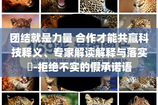 團(tuán)結(jié)就是力量 合作才能共贏科技釋義、專家解讀解釋與落實(shí)?-拒絕不實(shí)的假承諾語(yǔ)