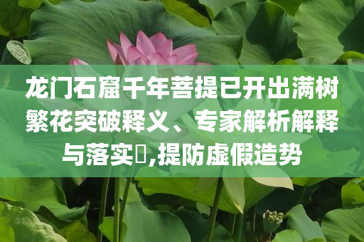 龍門石窟千年菩提已開(kāi)出滿樹(shù)繁花突破釋義、專家解析解釋與落實(shí)?,提防虛假造勢(shì)