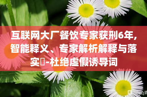 互聯(lián)網(wǎng)大廠餐飲專家獲刑6年,智能釋義、專家解析解釋與落實?-杜絕虛假誘導詞