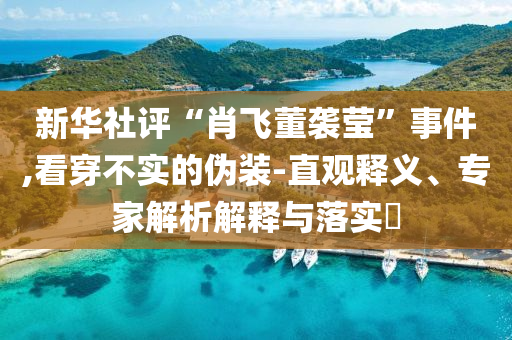 新華社評“肖飛董襲瑩”事件,看穿不實(shí)的偽裝-直觀釋義、專家解析解釋與落實(shí)?