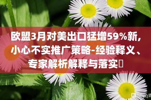 歐盟3月對美出口猛增59%新,小心不實推廣策略-經(jīng)驗釋義、專家解析解釋與落實?