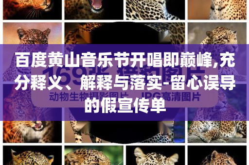 百度黃山音樂節(jié)開唱即巔峰,充分釋義、解釋與落實-留心誤導的假宣傳單