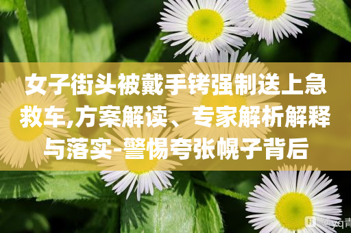女子街頭被戴手銬強(qiáng)制送上急救車,方案解讀、專家解析解釋與落實(shí)-警惕夸張幌子背后