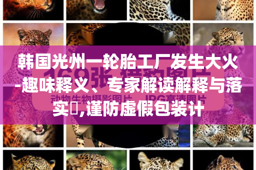 韓國光州一輪胎工廠發(fā)生大火-趣味釋義、專家解讀解釋與落實(shí)?,謹(jǐn)防虛假包裝計(jì)