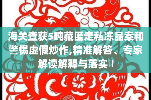 海關(guān)查獲5噸藏匿走私凍品案和警惕虛假炒作,精準(zhǔn)解答、專家解讀解釋與落實(shí)?