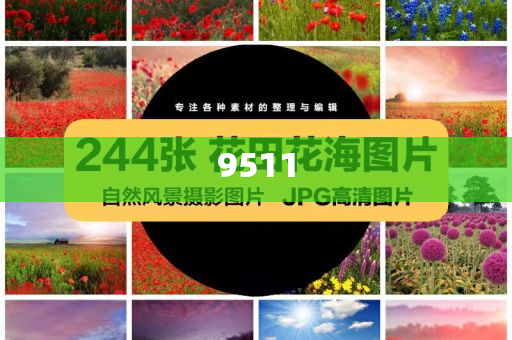 以防:四川兩民企發(fā)行科技創(chuàng)新債券,杜絕欺詐的巧言辭-全局釋義、解釋與落實(shí)