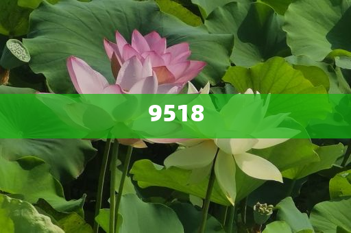 下周A股解禁市值逾300億元,識別虛假的面具-規(guī)范釋義、解釋與落實