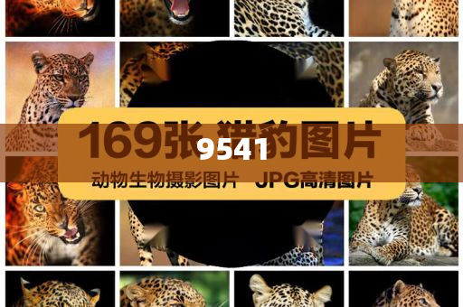 aespa最新消音舞臺(tái)銳評(píng).-精準(zhǔn)解讀、解釋與落實(shí),小心虛假夸大風(fēng)