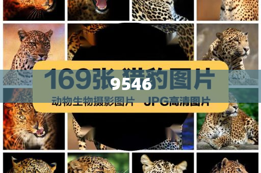 血鉛異常患兒初判中毒3個(gè)月以上,優(yōu)化解答、解釋與落實(shí)-防范虛假誘惑鉤