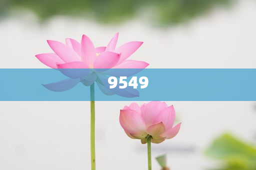 特朗普再對(duì)8國(guó)加征關(guān)稅 最高50%,突破釋義、解釋與落實(shí)-防范不實(shí)的陰謀
