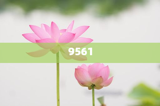 揭示:楊少華去世,留心誤導(dǎo)的假推廣雨-傳播剖析、解釋與落實(shí)