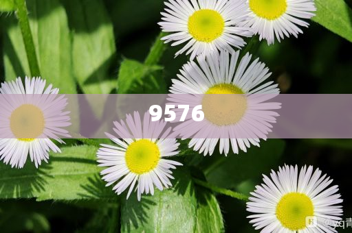 耐克在中國比去年少賺了70億反思解答、專家解析解釋與落實(shí)?-警惕虛假誘導(dǎo)危害