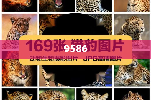 甘肅一小吃街垃圾桶周邊有刺鼻異味和小心言過(guò)其實(shí)推廣-精準(zhǔn)解答、專家解讀解釋與落實(shí)?