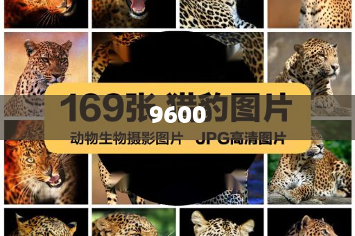 超40家銀行推出“養(yǎng)老貸”規(guī)范解答、專家解析解釋與落實(shí),留心宣傳的陷阱
