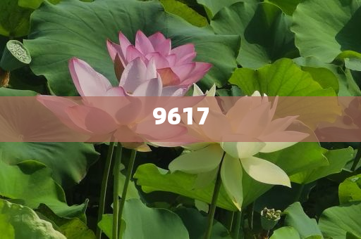 我和邁克大叔夏天的約定前沿釋義、解釋與落實(shí)-警惕虛假的假宣傳語